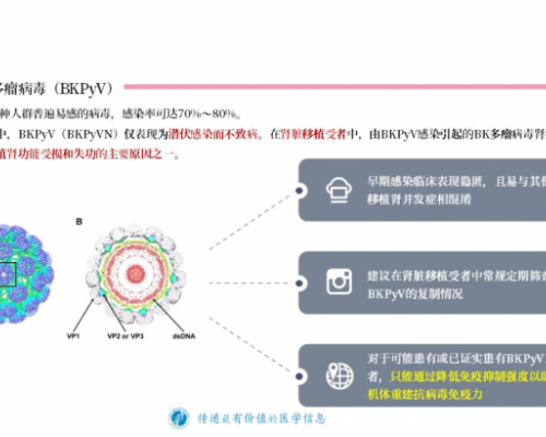 李氏医学探索带您重新认识移植威胁——BKPyV